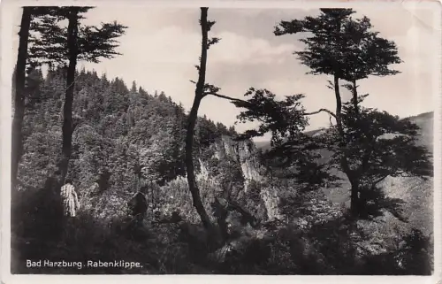 Bad Harzburg. Rabenklippe, -796584