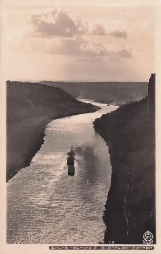 Foto Hahn Sächsische Schweiz -796550