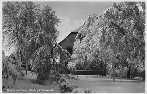 Winter auf dem Felsberg i. Odenwald. -796588