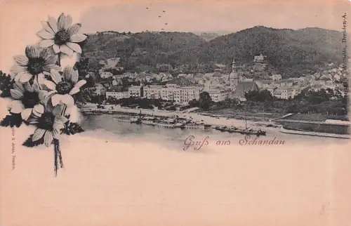 AK Bad Schandau, Gesamtansicht -796576