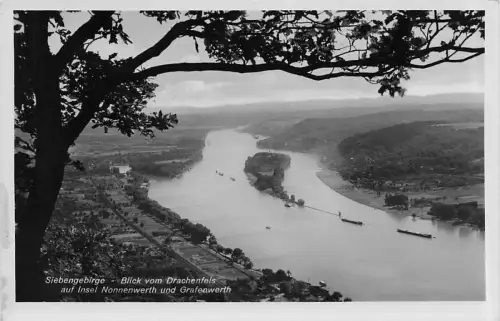 Siebengebirge Blick vom Drachenfels auf Insel Nonnenwerth -796646