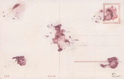 T. Joh. Adolf eva -797178