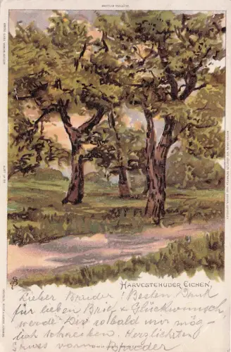 Künstler AK Hamburg-Harvestehude, Harvestehuder Eichen 1900 -797362