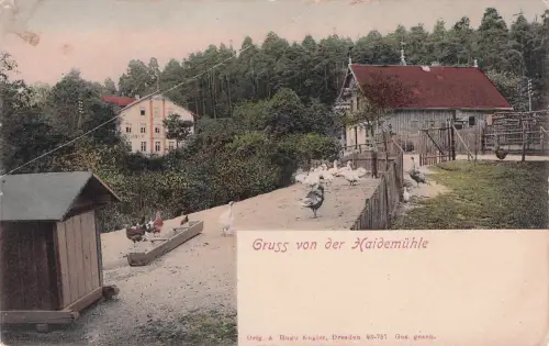 Ak Dresden Loschwitz, Dresdner Heide, Haidemühle im Prießnitzgrund -797448