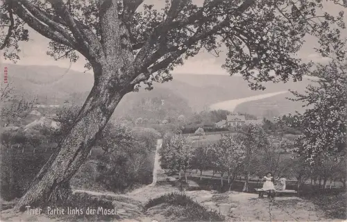 TRIER, Partie links der Mose -797458