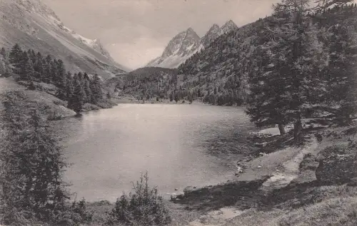 Preda Palpungasee mit Piz Giumels Kat. Preda -797538