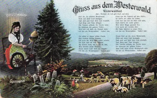 AK Westerwaldlied Westerwälder Spinnerin Bauer mit einer Kuhherde 1917 gelaufen -797764