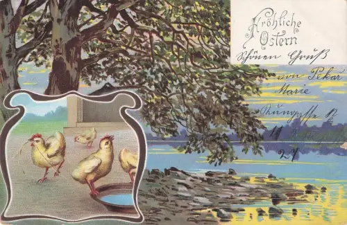 Ostern, Küken, Südamelik onnesoow, Russland, 1904 -797910