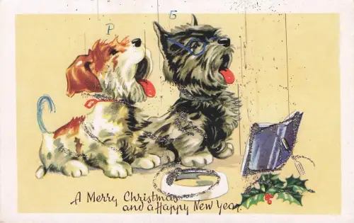 Scottish Terrier -797946