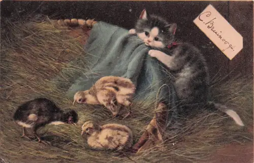 Katze und Küken in der Scheune, französische Postkarte von 1904 -798360