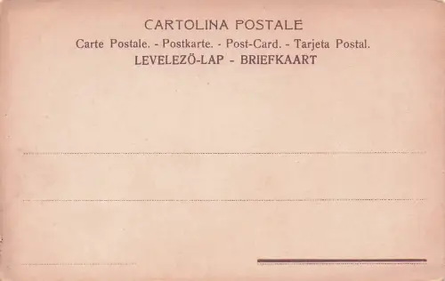 Parforcejagd, eine Jagdart, bei der eine Hundemeute -798500