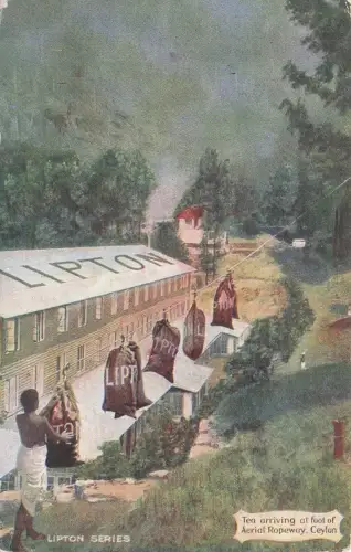 Künstler Ak Ceylon, Tea arriving at foot of Aerial Ropeway, Lipton Teefabrik -798368