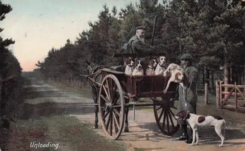 Titel "Unloading -798266