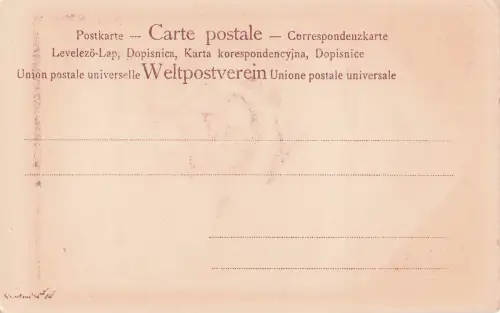 Schwiegermutter, französische Fantasie-Postkarte von 1903, Muster ohne Wertangabe, Farblithografie -798752