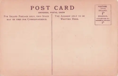 YOUNG MOTHER -798842