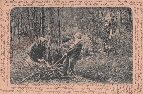 drei Personen, die in einem Wald Äste und Reisig sammeln. -798866