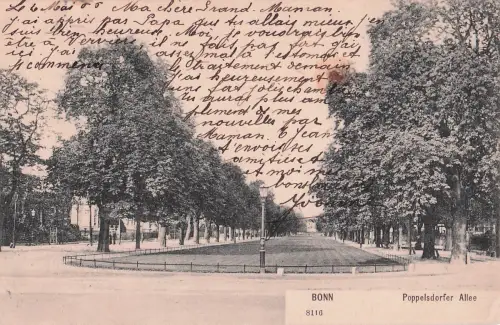 BONN 8116 Poppelsdorfer Allee -798918
