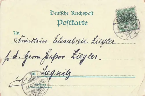 GRUSSUS BERLIN -798942