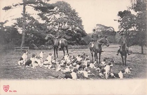 Fuchsjagd-Treffen -799006