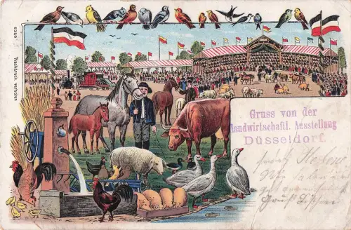 Gruss von der landwirtschaftl. Ausstellung Düsseldorf -798976