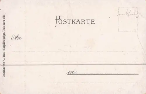 Badische Volkstrachten, Schwarzwälderinnen aus Kirchzarten -799026