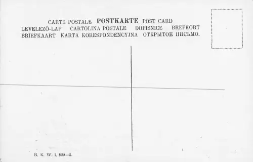 1 AK Soldaten Uniform Böhmen 1904 PC military -799014