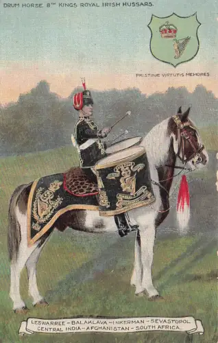 Trommelpferd, 8. Königliche Irische Husaren -798404