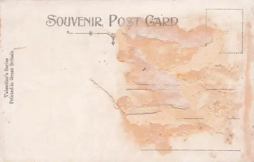 Trommelpferd, 8. Königliche Irische Husaren -798404