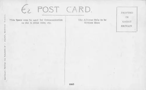 The Infant--ry! -794788