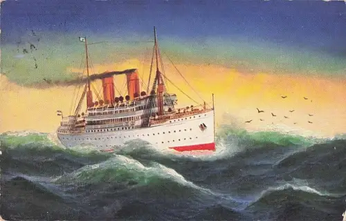 Künstler Ak Tropenpassagierdampfer auf dem Meer -799734