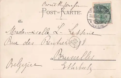 Sankt Goar Rhein Panorama und Ruine Rheinfels bei Mondschein -799872