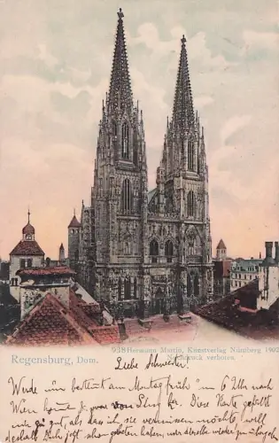 Ansicht des Regensburger Münsters -800254