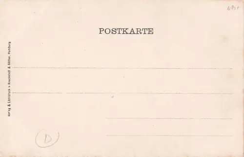 Mainz Schloss Rheinstein -800552