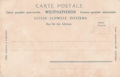 Reichenbachfall bei Meiringen. -800602