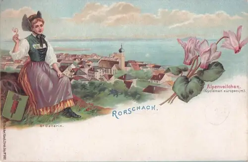 Lithographie Rorschach, Ortsansicht, St. Gallerin, Alpenveilchen -800642