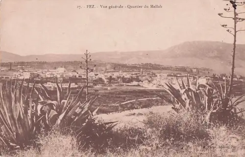 AK Fez, Vue générale-Quartier du Mellah -800940