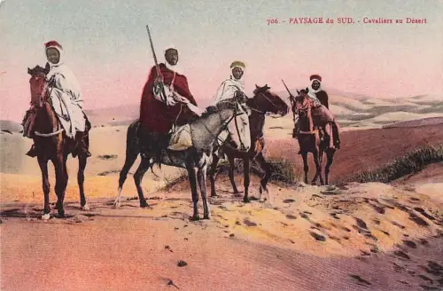 706. PAYSAGE du SUD. Cavaliers au Désert -801064
