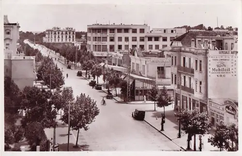Maroc, Kénitra, Port-Lyautey, Avenue Clemenceau -801088