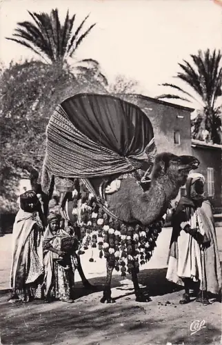 AK ALGERIA BISKRA Un Basour -801098