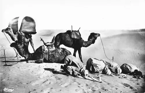 "La prière au Désert" -801102