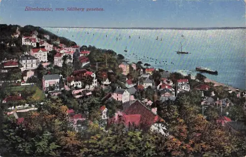 AK Hamburg-Blankenese, Vom Süllberg gesehen, Elbblick, Villen, Segelboote -801368