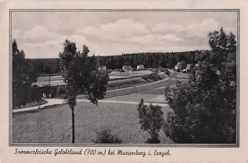 Sommerfrische Gelobtland (700 m) bei Marienberg i. Erzgeb. -801478