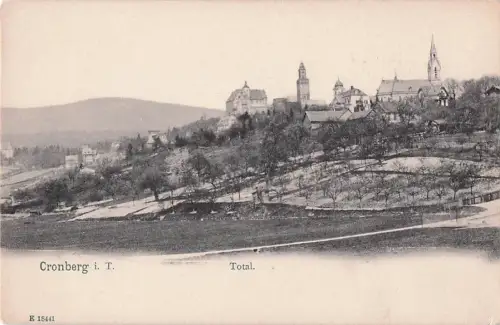Kronberg im Taunus -801710