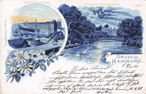 Mondschein Litho Hamburg Mitte St. Pauli, Freihafen und Lagerhäuser, Botanischer Garten -801930