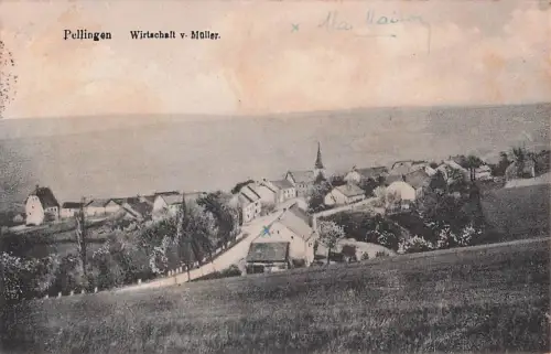 Pellingen Wirtschalt v. Müller -802160