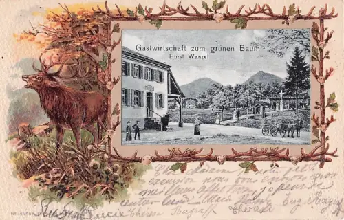 Gastwirtschaft zum grünen Baum -802150