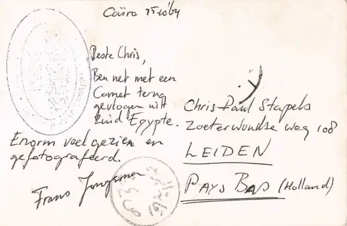 Königin Nefertari -802778