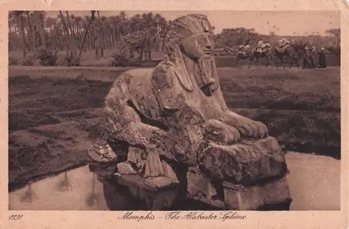 AK Memphis, The Alabaster Sphinx -802932