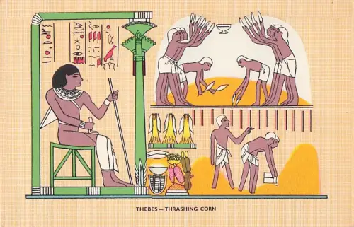 Maisdreschen, Ägypten, Kunst, Vintage-Postkarte, ca. 1960er Jahre -802956