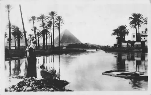 Ak Cairo Kairo Ägypten, Flood Time near Pyarmids, Pyramiden, Palmen -802924